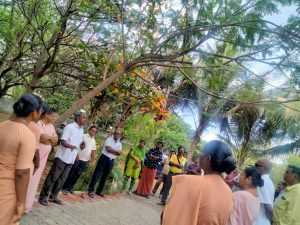 tree-walking-campaign1
